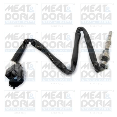 Sensor, exhaust gas temperature